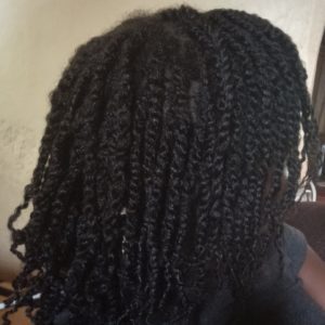 length retention with two strand twists