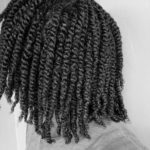 Two Strand Twists on dry or wet Hair? The best way.