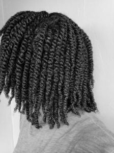 Should I twist dry or wet hair?