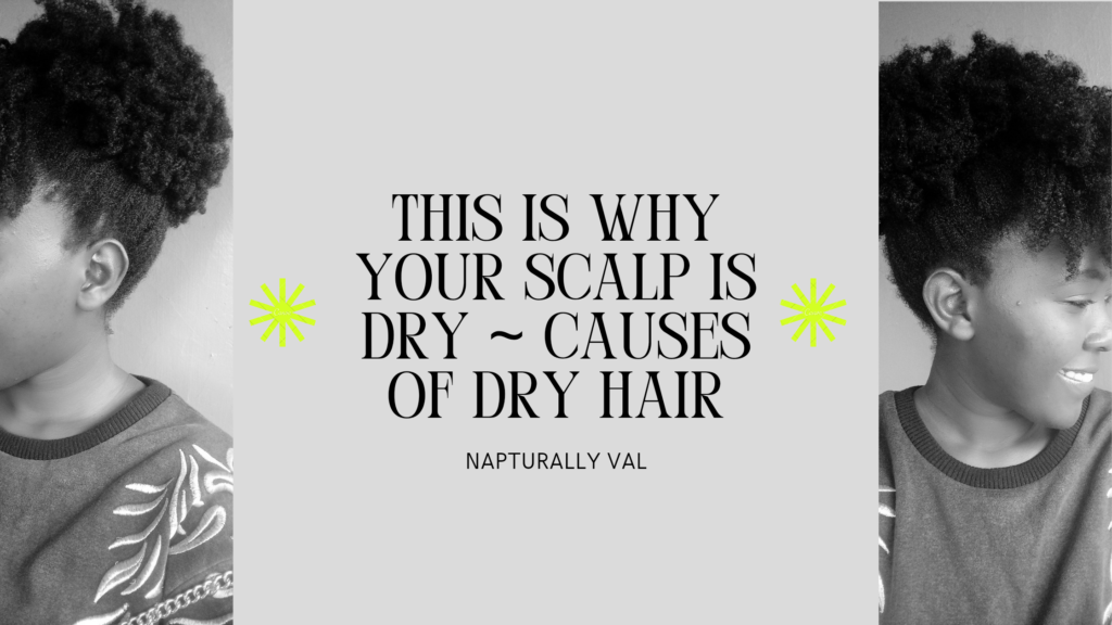 This is why your scalp is dry