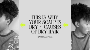 This is why your scalp is dry