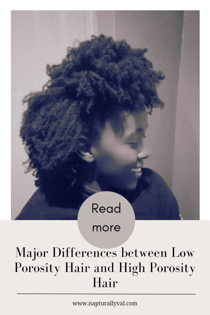 High porosity vs low porosity hair
Difference between high porosity hair and low porosity hair