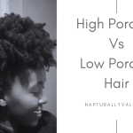 High Porosity vs Low Porosity Hair: Which is Better?