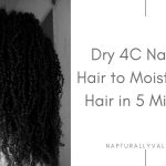 How to Get Dry Hair Moisturized in 5 Minutes