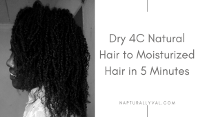 Moisturizing dry 4c Natural Hair