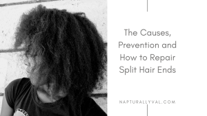 All things split hair ends