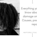 Everything Heat Damage on 4C Natural Hair