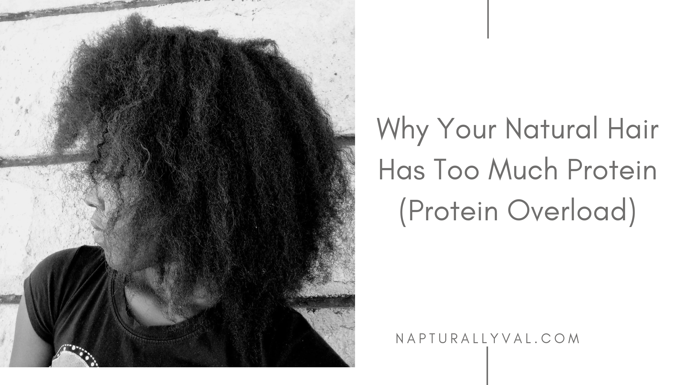 Read more about the article Why Your Natural Hair Has Too Much Protein