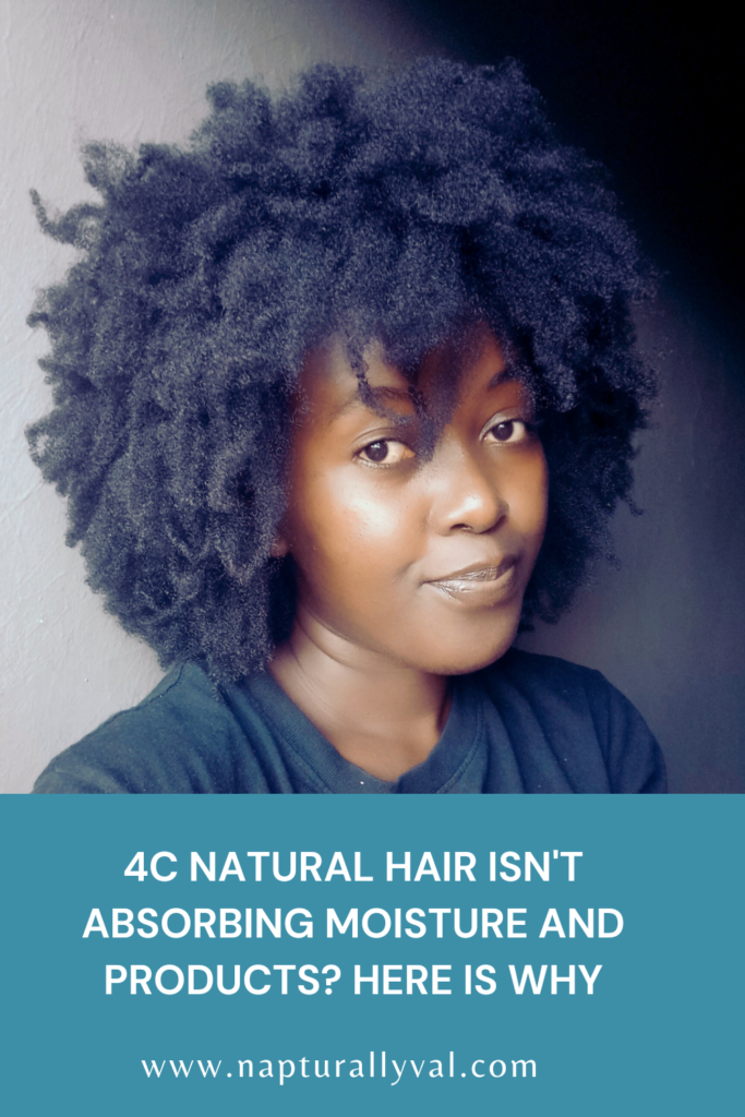 Why your 4c hair is not absorbing moisture and products