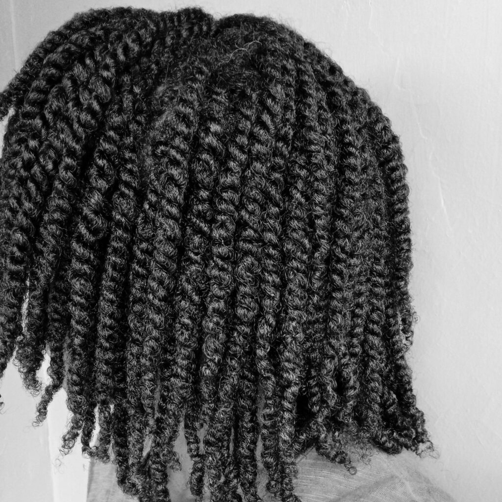 Mini twists on dry or wet hair