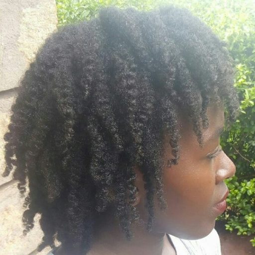 4C natural hair defined twist out