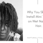 All Things Mini Twists on Wet 4C  Natural Hair