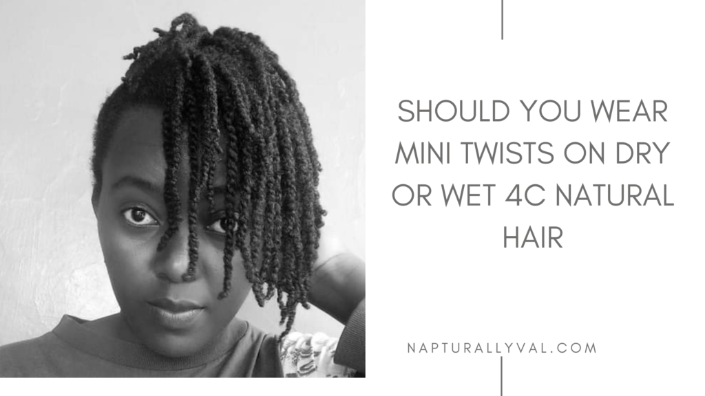 Mini Twists on Wet vs. Dry 4C Hair: Which Gives Better Results?