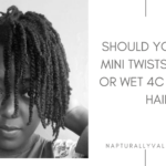 Should You Wear Mini Twists on Dry or Wet 4C Natural Hair.