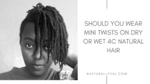 Read more about the article Should You Wear Mini Twists on Dry or Wet 4C Natural Hair.