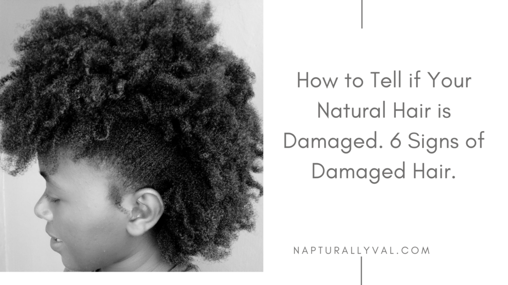 6 Undeniable Signs Your Natural Hair is Damaged.