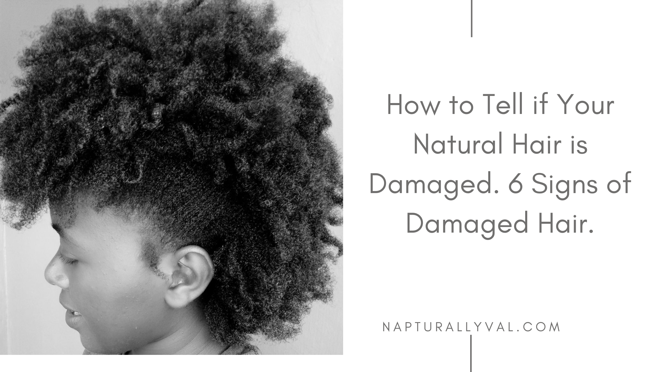 You are currently viewing 6 Sure Signs of Natural Hair Damage.