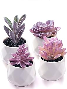 CADNLY Fake Succulent Plant Set. 