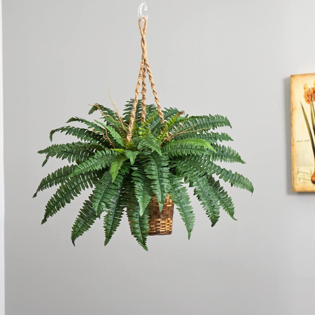 Bring Your Home to Life with Hanging Plants