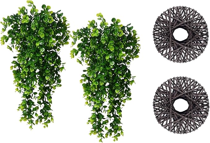 Bring Your Home to Life with Hanging Plants