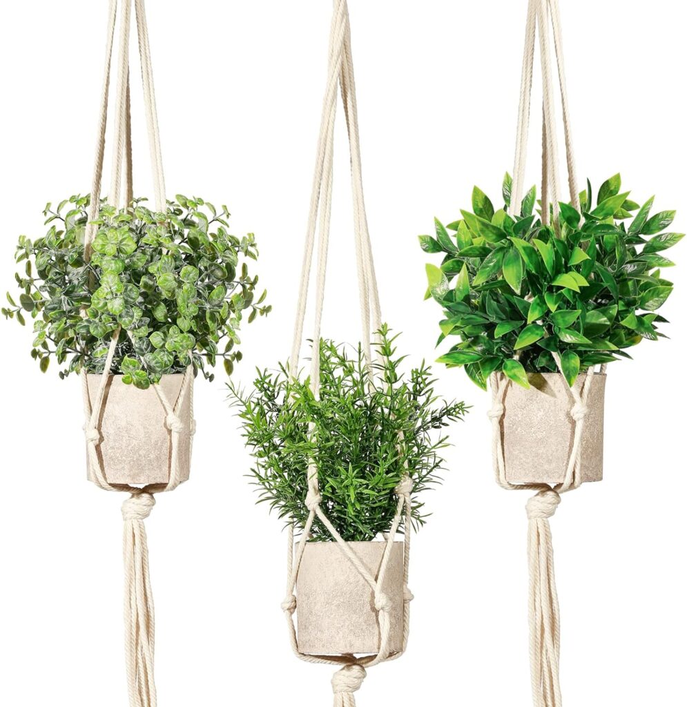 Bring Your Home to Life with Hanging Plants