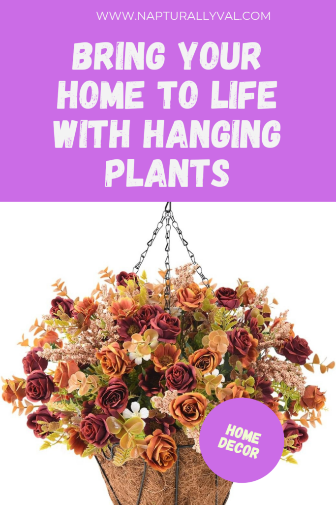 Bring Your Home to Life with Hanging Plants