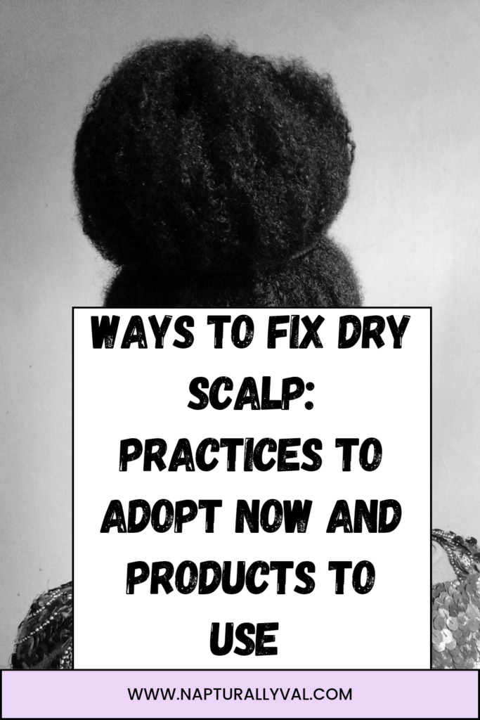 Best products and practices to fix dry hair