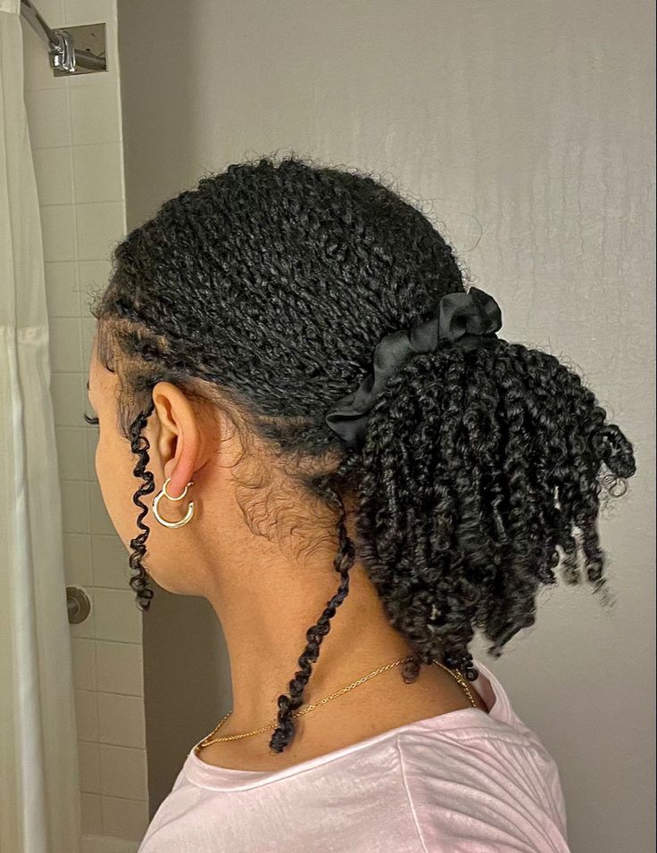 10 Creative Ways to Style Mini Twists on 4C Natural Hair.