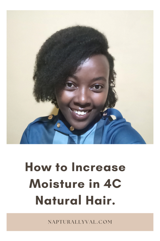 All things adding moisture to 4C natural hair 