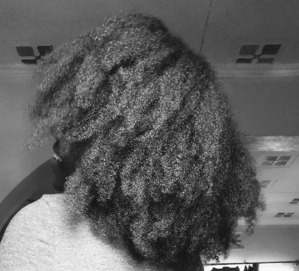 Pros and Cons of Combing 4C Natural Hair When Wet.