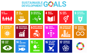 sustainable office goals to achieve
