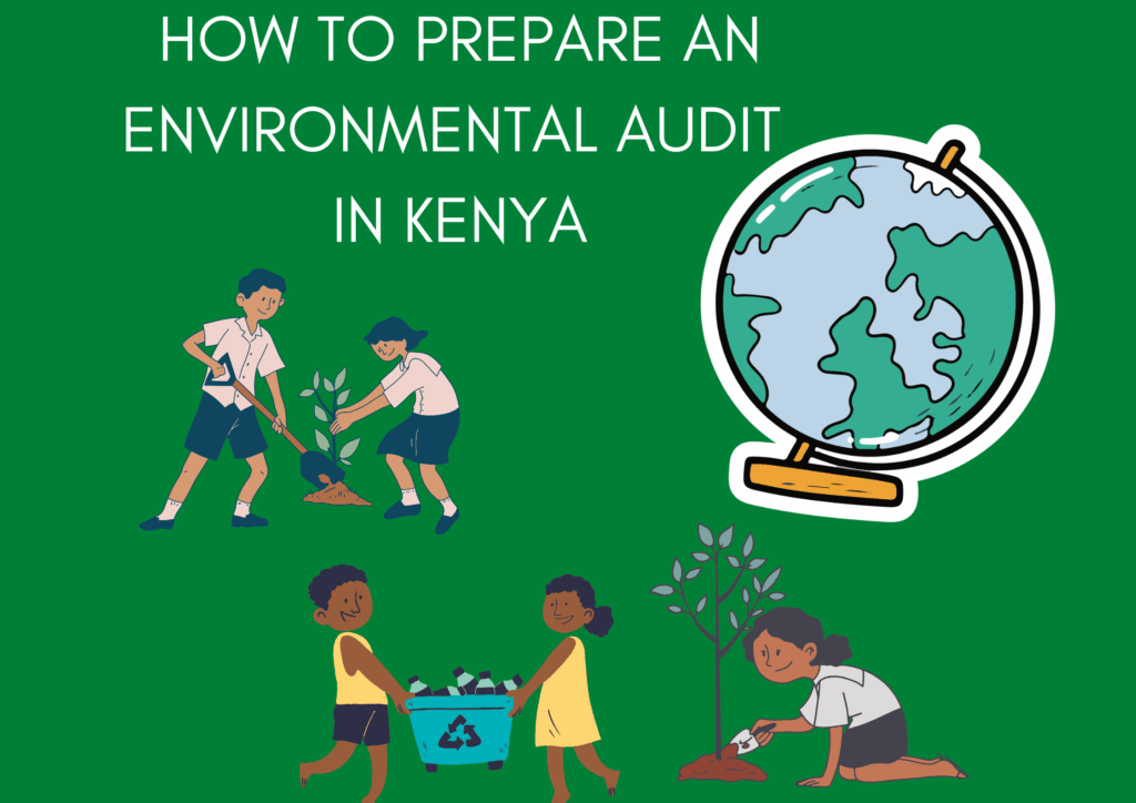 How to Prepare for a NEMA Environmental Audit in Kenya: A Step-by-Step Guide. 3 How to Prepare for a NEMA Environmental Audit in Kenya: A Step-by-Step Guide.