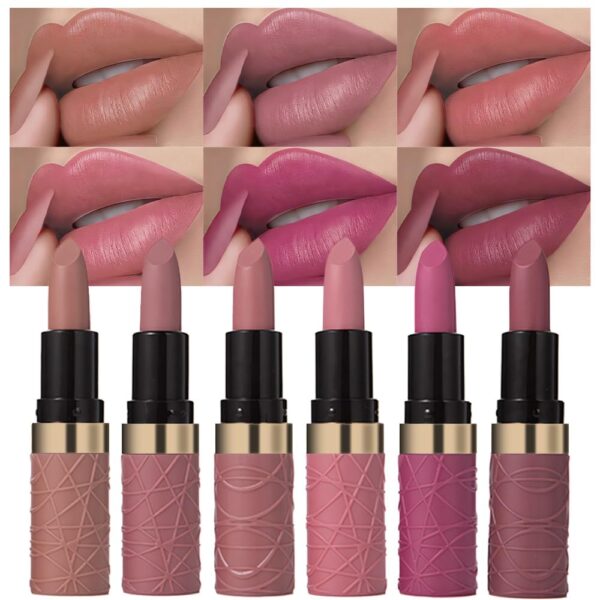 evpct 6Pcs Nude Brown Pink Purple Rose Red Mauve Matte Lipstick Sets