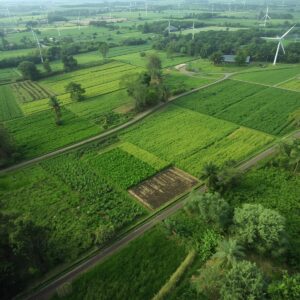 Environmental Audits in Kenya’s Agricultural Sector: What to Check & Why It Matters.