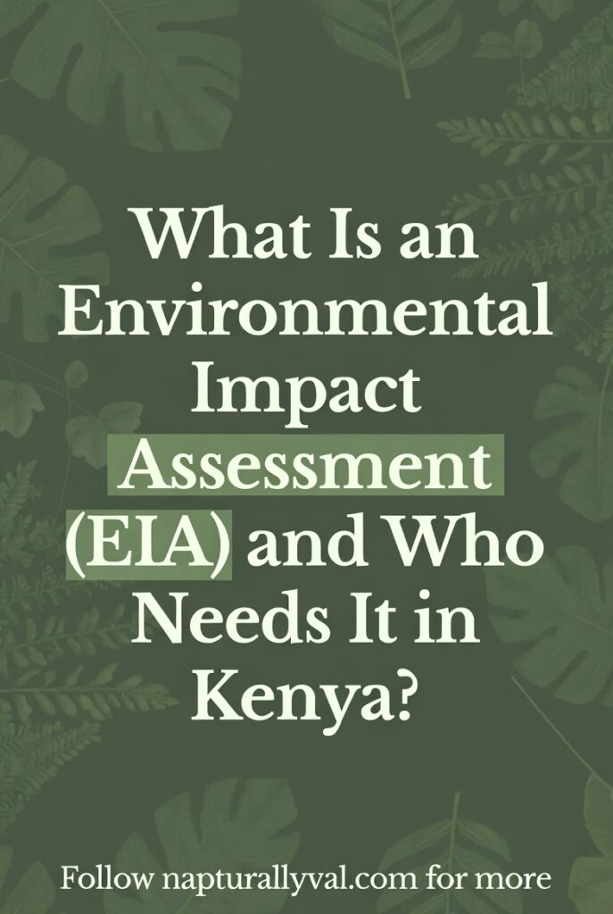 What Is an Environmental Impact Assessment (EIA) and Who Needs It in Kenya?